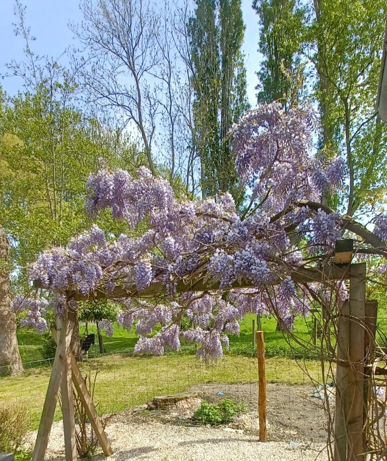 Nature Et Moi Wittes Dış mekan fotoğraf